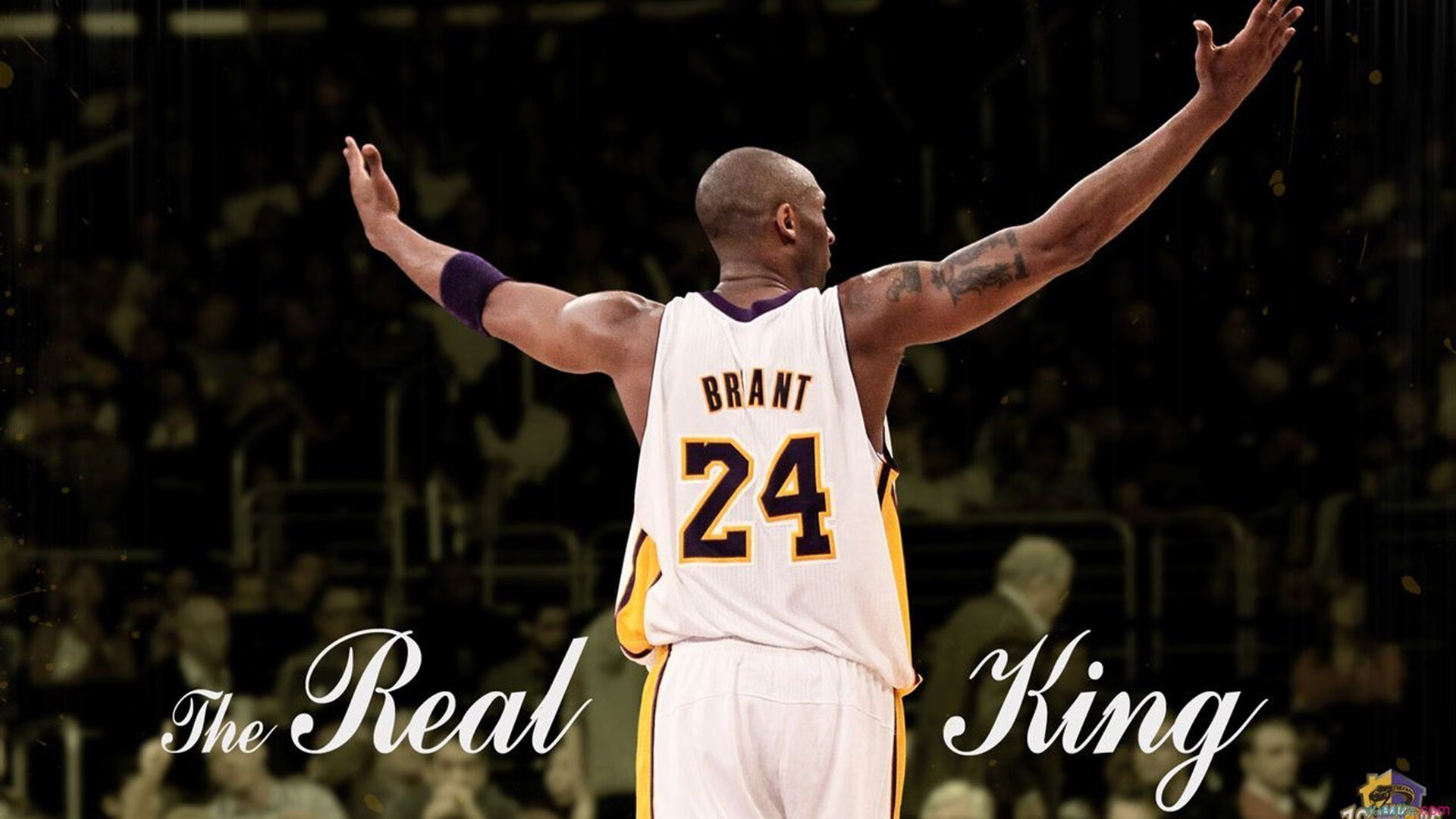 《电竞职业化道路：如何打造更专业的产业体系》，电竞职业化的开始